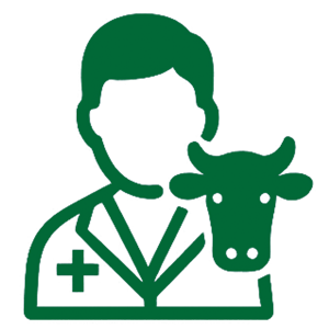 asesoramiento-veterinario